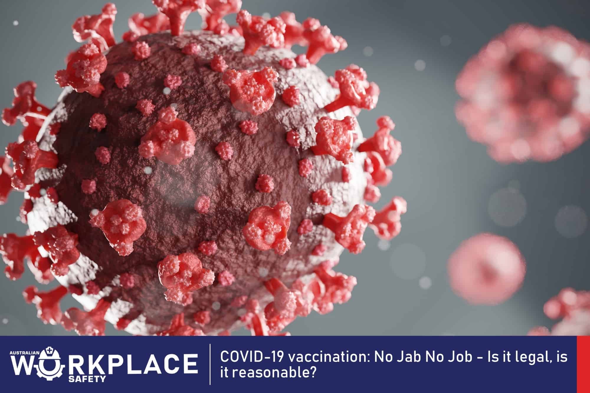 COVID-19 vaccination_ No Jab No Job - Is it legal, is it reasonable_